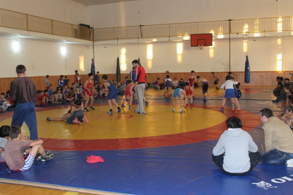 Вольная борьба46