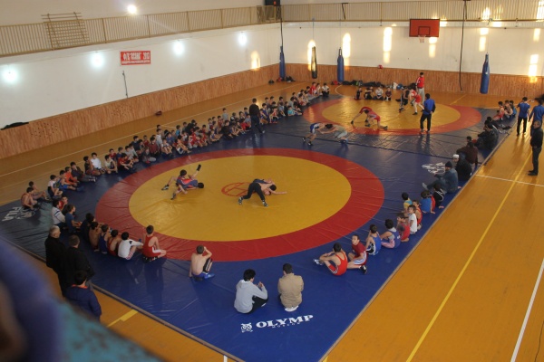 Вольная борьба43