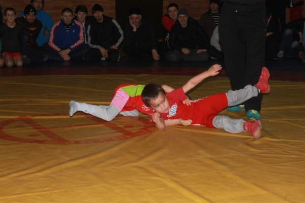 Вольная борьба58