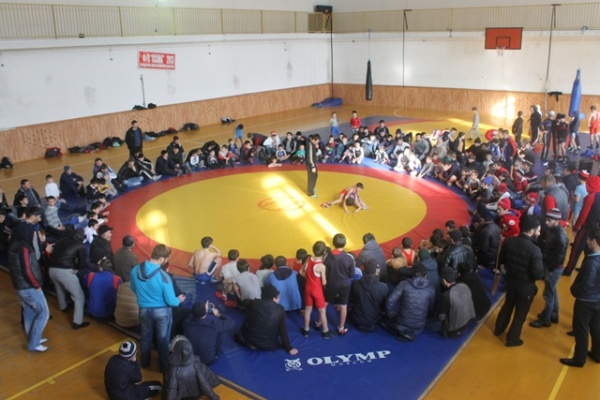 Вольная борьба55