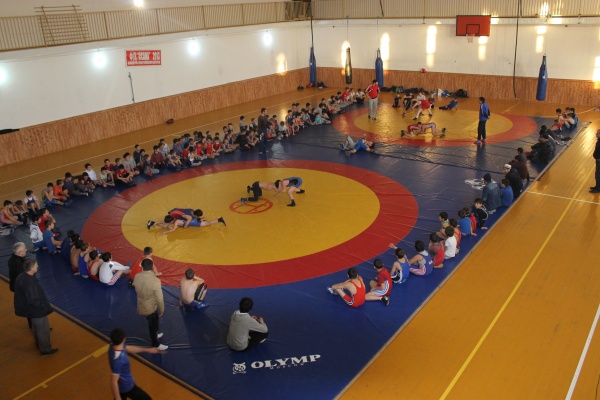 Вольная борьба