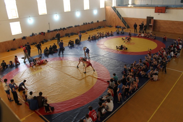 Вольная борьба44