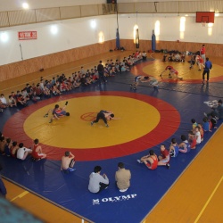 Вольная борьба43