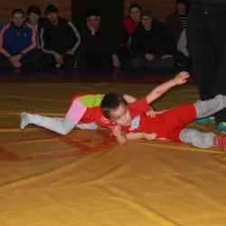 Вольная борьба58