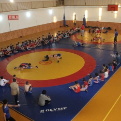 Вольная борьба